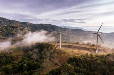 Cómo BubuVerse impulsa el ecosistema con energía comunitaria