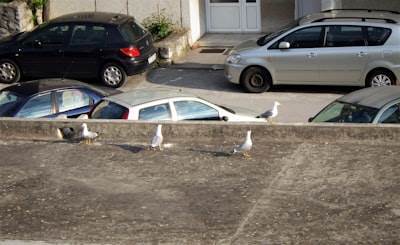 Robots de Instagram en Rivas-Vaciamadrid
