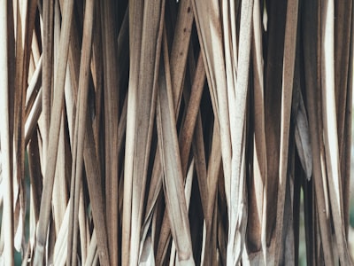 Folder Structure Creation