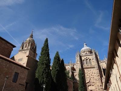 Desarrollo de aplicaciones web personalizadas en Salamanca