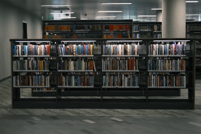 Una biblioteca para entender operadores neuronales