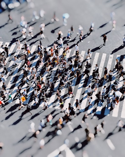 Gestió de multituds amb simulació de xarxes peatonal