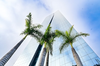 Top 10 Empresas para Retorno de Inversión de desarrollo de software personalizado en Alicante