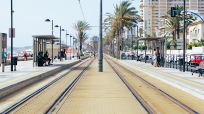 Los 20 mejores expertos en IA para análisis de tickets en Alicante