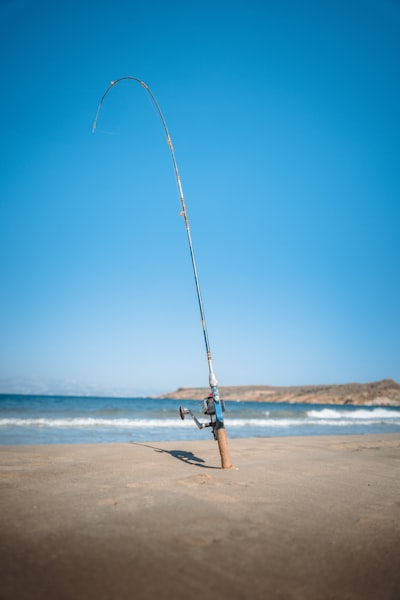 Regulación de la pesca de calamares en el Pacífico Sur