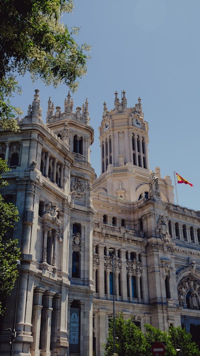 Guía completa de búsqueda vectorial empresarial en Madrid