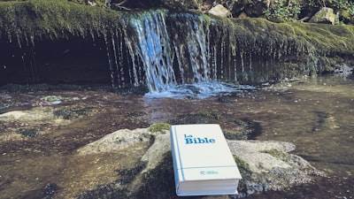 La mejor opción para encontrar software empresarial en Ribeira