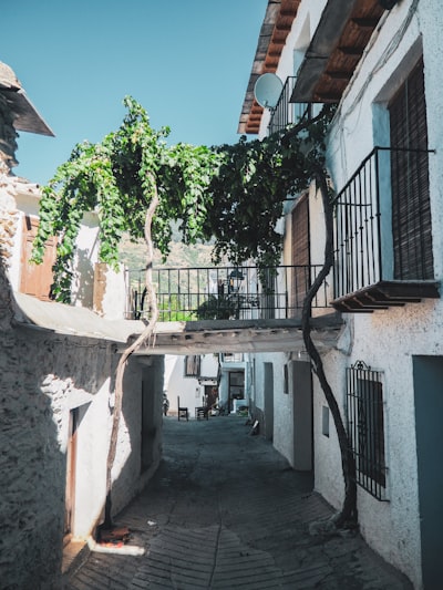 Automatización de consultas de propiedades en Granada