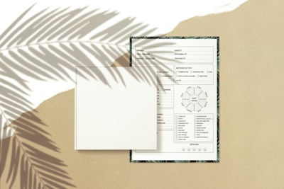 Reemplaza informes manuales con paneles en Palma: Q&A 2026