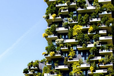 Optimiza recursos y reduce el impacto ambiental con software