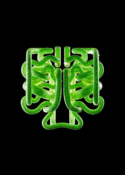 Interpretación y Aprendizaje Verde para Segmentación Eficiente de Ecocardiografía