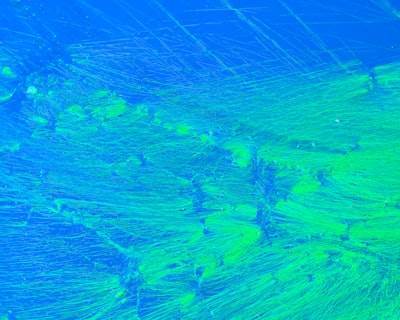 Physics-Augmented Diffusion Modeling for Deep-Sea Exploration Habitat Design under Multijurisdictional Compliance