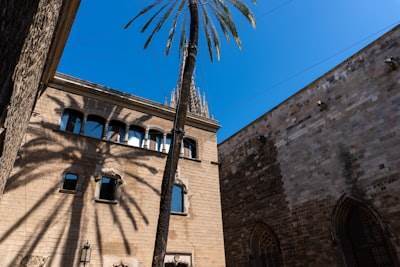 Top 30 Empresas para consultar n8n en Alcázar de San Juan