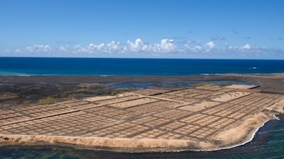 ¡Trump prepara su respuesta ante la finalización de la construcción de la granja eólica marina!