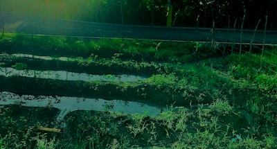Por qué el OCR a nivel de campo falla en reembolsos reales