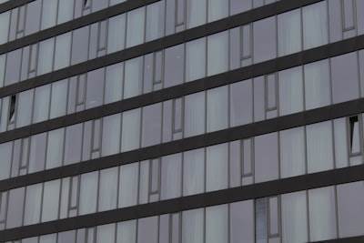 ¿Quién se beneficia más del software empresarial?