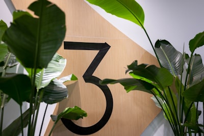 Top 3 Consultores en transformación digital en Palma