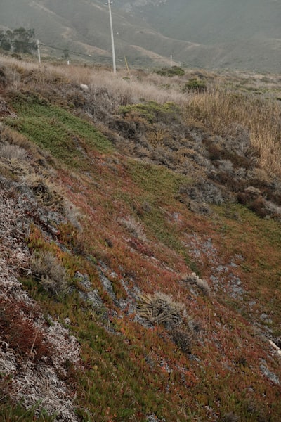 Agrupamiento de planos locales k-robustos difusos con pérdida mixta de bisagra y norma L1