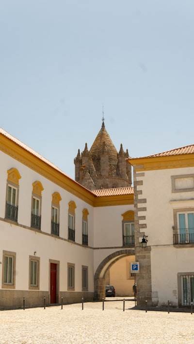Servicios de programación profesionales en Las Palmas