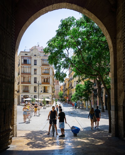 Portal de Franquiciados con Evaluaciones de Calidad en Valencia