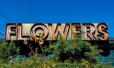 Mejores empresas Power BI en Ames