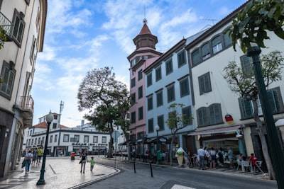 Top 50 Empresas de Software de Negocios en San Bartolomé de Tirajana