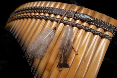 Native Instruments se declara en insolvencia