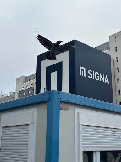 Empresa n8n en Águilas