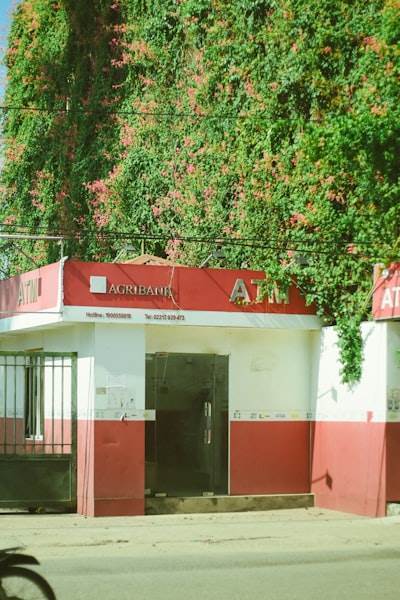 Empresa de servicios de IA en Alcoy