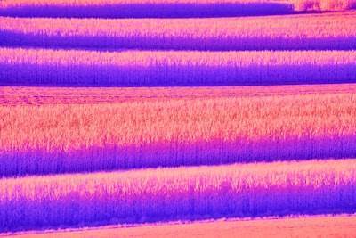 Optimización de la entrega de genes con resonancia acústica (GARP)