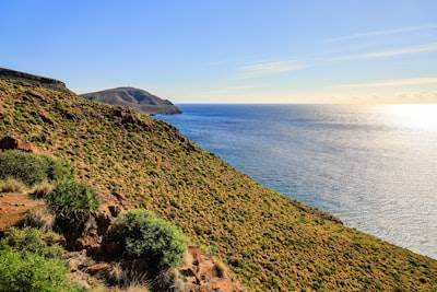Top 5 Empresas de Desarrollo de Aplicaciones a Medida en Almería