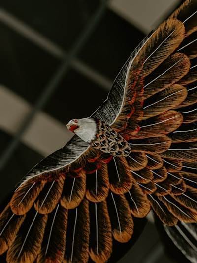 Reingeniería de la entrega de software con Desarrollo impulsado por AI