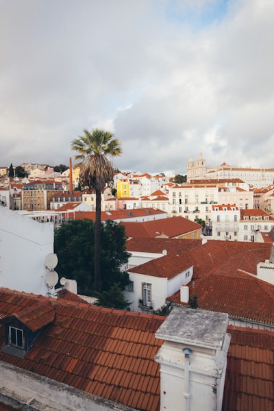 Expertos en bots de Instagram en Las Palmas de Gran Canaria