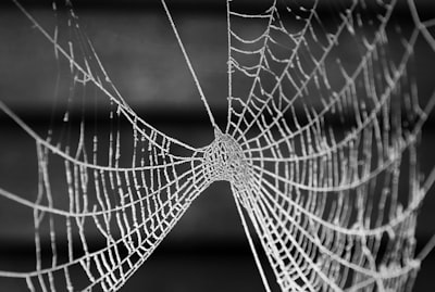Cambios internos necesarios para implementar una aplicación web personalizada.