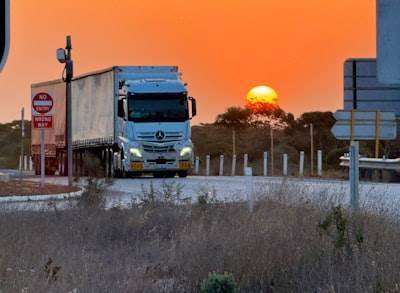 Por qué las empresas logísticas españolas eligen IA en 2024