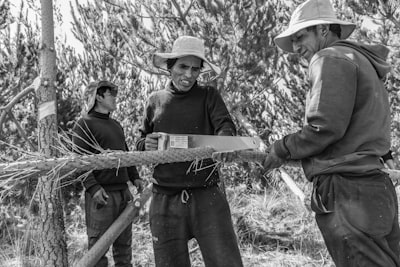 Continuidad del negocio: una escoba de madera seca