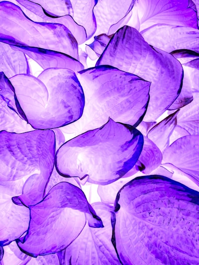 El cáncer como protección contra el Alzheimer