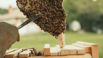 Top 20 Empresas de integración de API en Santa Cruz de Tenerife