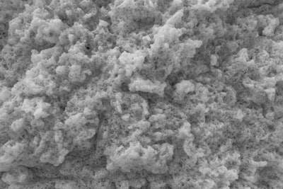 Biodegradable HMV con Nanocelulosa: Resistencia Térmica Mejorada