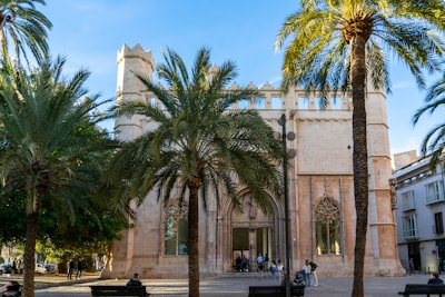 20 mejores socios de pentesting en Palma