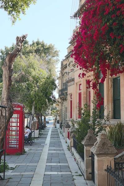Las 5 mejores empresas de IA para sistemas telefónicos en Marbella