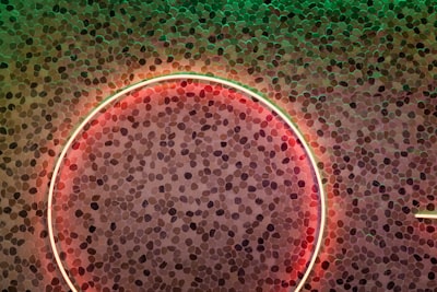 Entrega dirigida de circRNA para terapia de glioblastoma