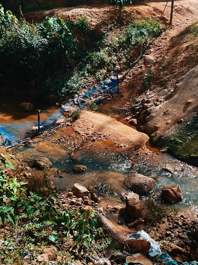 Evasón de marcas de agua en LLM mediante inversión de sesgo