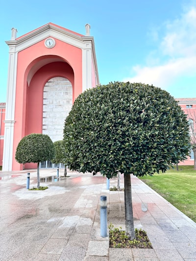 Top 15 Expertos en aplicaciones personalizadas en Logroño