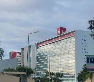 Servicios de inteligencia artificial en Guadalajara