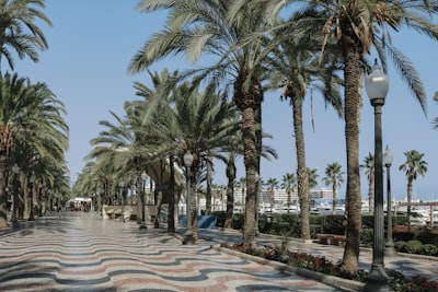 Software personalizado para aumentar la productividad en Palma