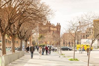 Expert Web Application Developers in Alcalá de Guadaíra