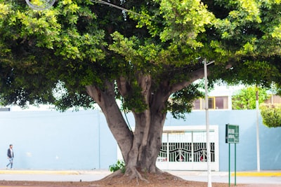 PORTool: Optimización de Políticas Consciente de la Importancia con Árbol Recompensado para Razonamiento Multiherramienta