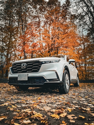 Las SUV que cambiaron el ranking automotriz en 2026