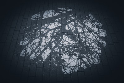 Mejorando agentes web con un árbol de memoria jerárquico